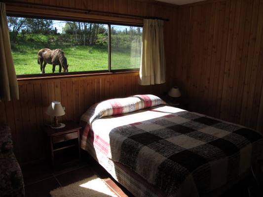 Fotografía 2 de Cabañas Chilcos Del Sur en Freire, Araucania
