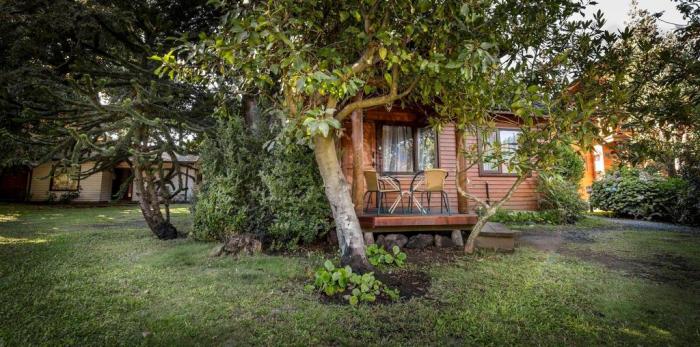 Fotografía 13 de Cabañas Mapulay en Pucon, Araucania