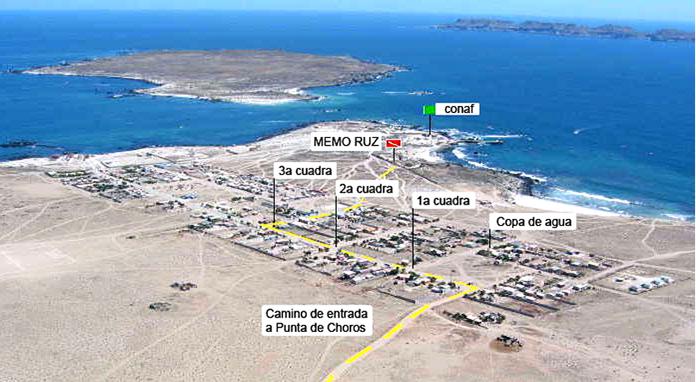 Fotografía 4 de Cabañas Memo Ruz en La Higuera, Coquimbo
