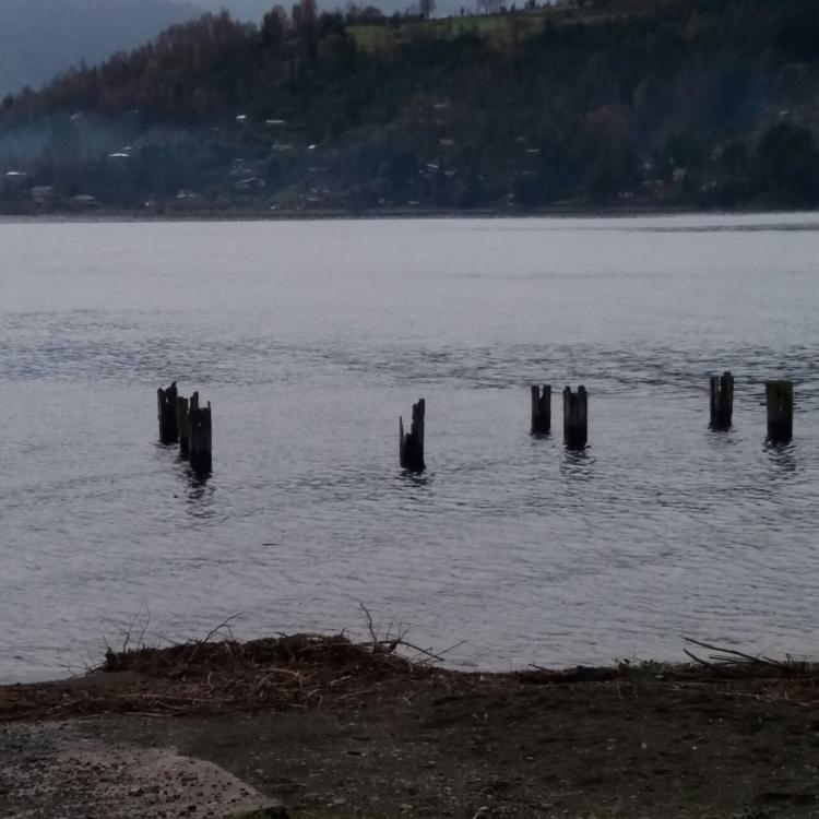 Fotografía 13 de Cabañas Lago Ranco en Futrono, Los Rios